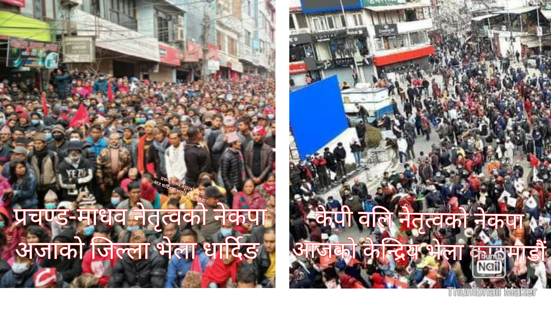 बृहत जनसभामा दशहजारको उपस्थिति रहेको टिप्पणी, धार्दिङ जिल्ला भेलामा जम्मै जनता सडकमा