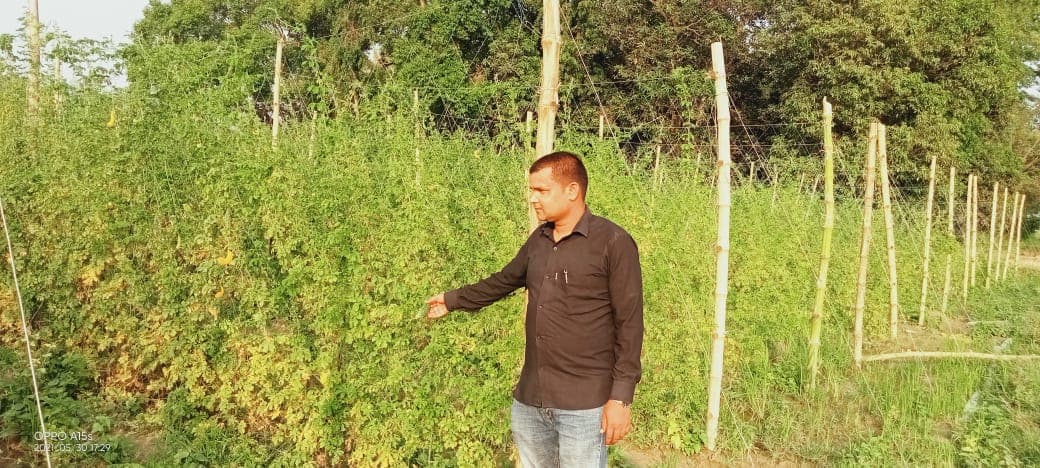 प्रध्यापक अदित्य कुमार बर्मा कृषि पेशा तिर आकर्सित