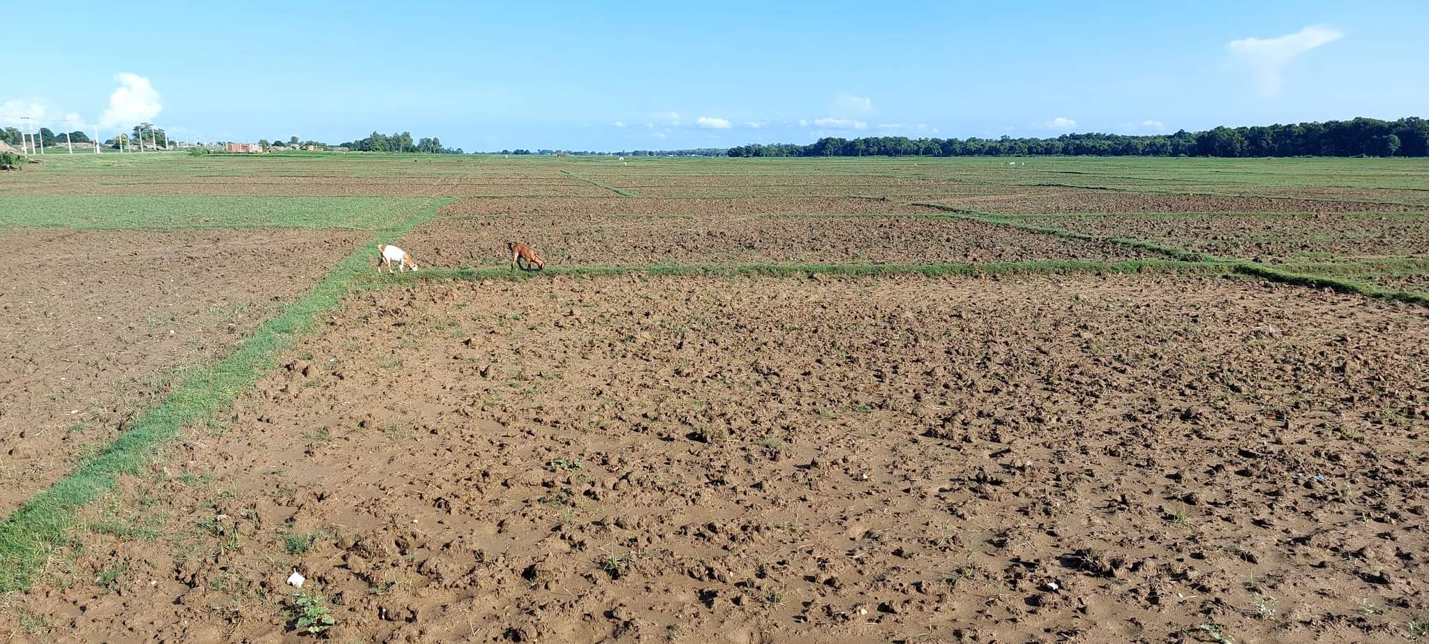 मन्त्री अथकले अनुगमन गरे संगै सुख्खा क्षेत्र नरैनापुरमा राहतको व्यवस्था गर्ने प्रतिबद्धता