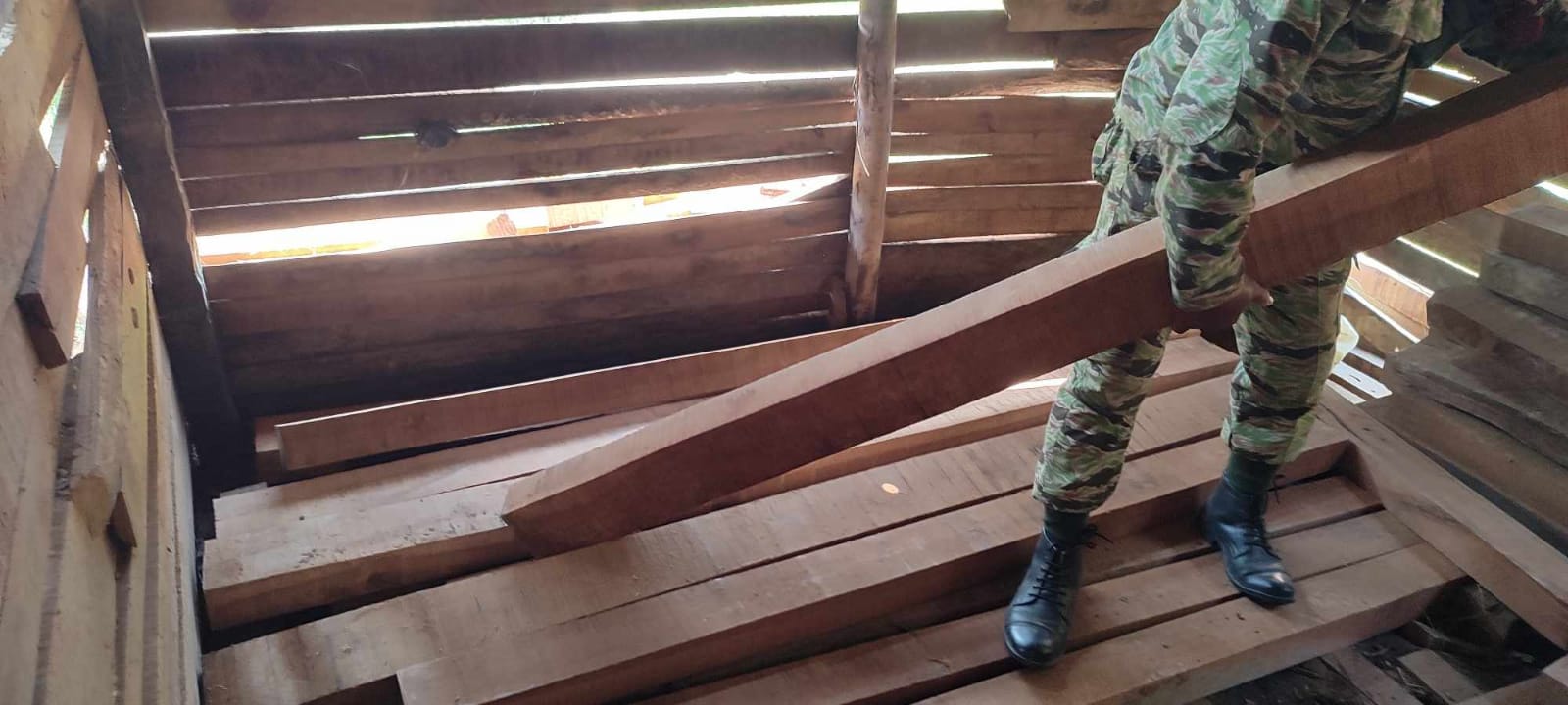 बाँकेमा अवैध सालको चिरान काठ्सहित एक कजा पक्राउ