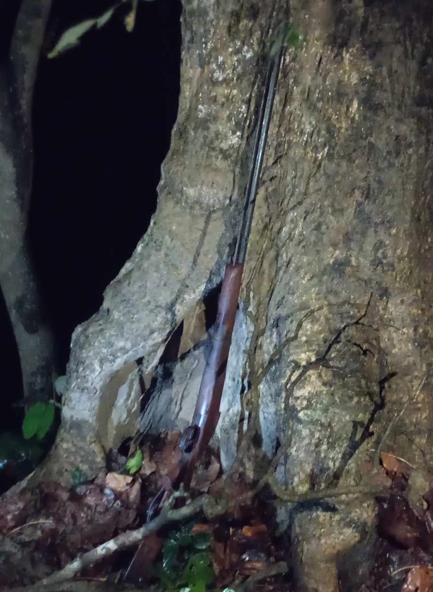 सामुदायिक वनबाट बन्दुक बरामद