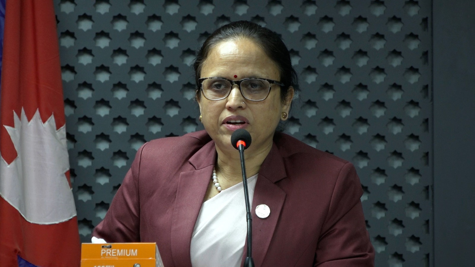 सुशासनका पक्षमा उभिएकाले राजश्व बढाउन सफल भयौंः मन्त्री शर्मा